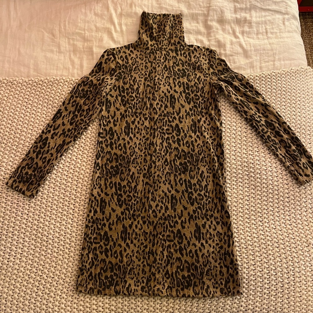 NWT Zara Cheetah Dress